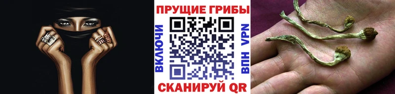 Псилоцибиновые грибы MAGIC MUSHROOMS  Богородицк 